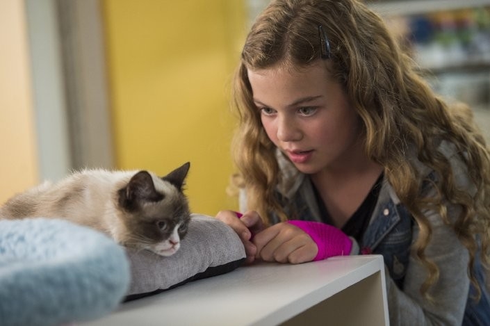 Megan Charpentier - Grumpy Cat's Worst Christmas Ever
