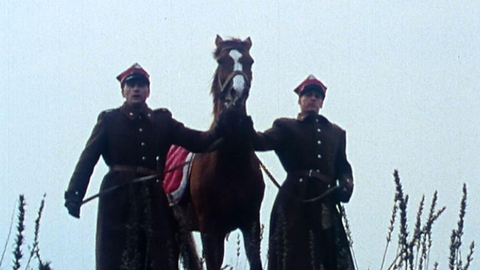 Film Jedenaste przykazanie