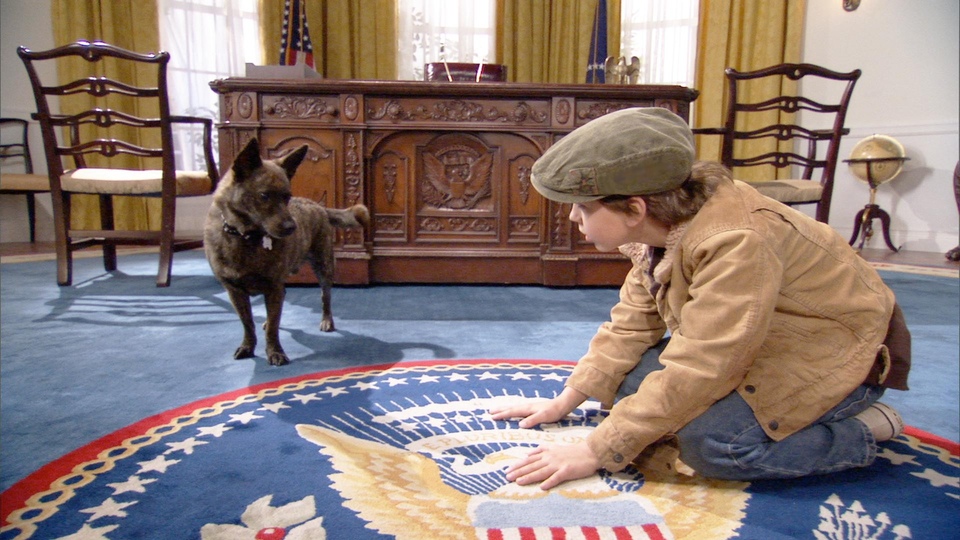 John-Paul Howard - The First Dog