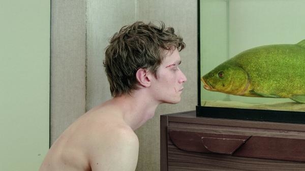 Tench