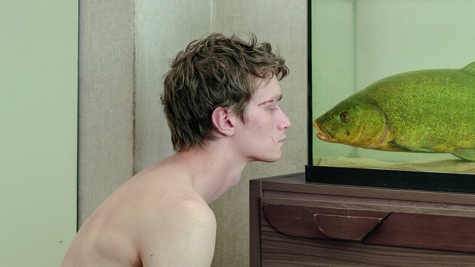 Film Tench