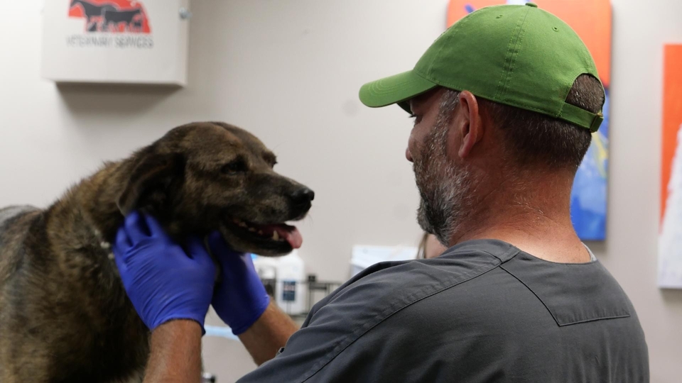 Ben Schroeder - Heartland Docs Ben Schroeder - Heartland Docs