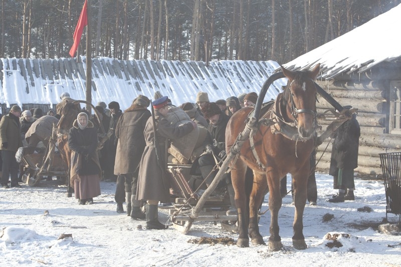Najlepsze polskie filmy wojenne z roku 2013 online