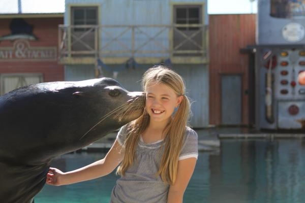 All About Animals
