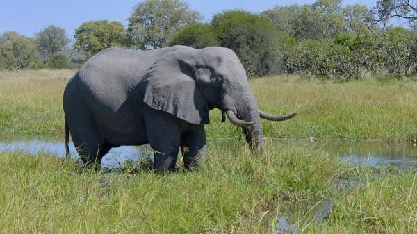 Africký vodní svět