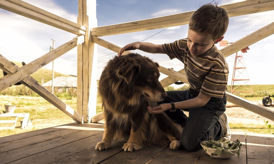 Film T.S. Spivet különös utazása