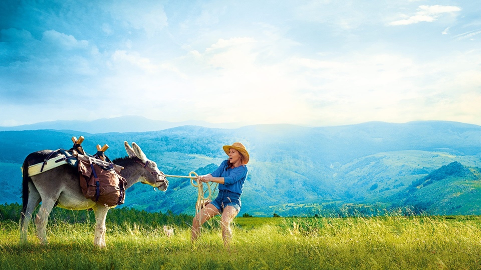 Film My Donkey, My Lover &amp; I
