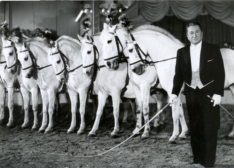 Film Cirkus bude