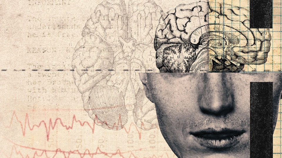 Dokumentarci Ludi, ne neuračunljivi