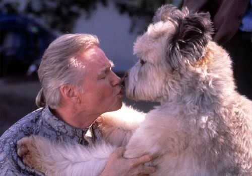 Jon Voight - Unleashed