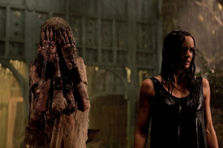 Sarah Wayne Callies - The Other Side of the Door