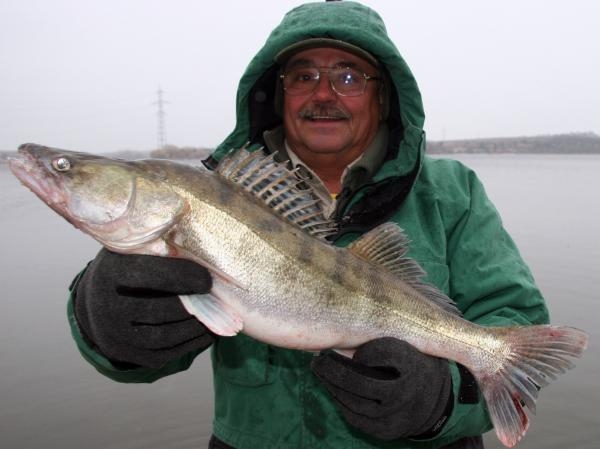 Kde je ryba? - Lov candátů na zimním Dunaji