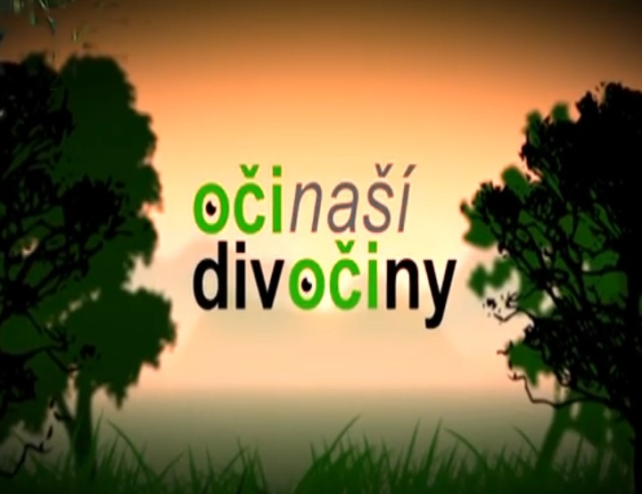 Dokument Oči naší divočiny