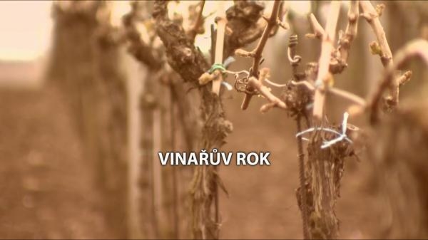 Vinařův rok