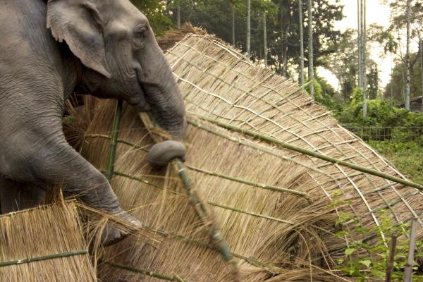 Nebezpečné území