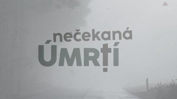 Nečekaná úmrtí - Petr Lébl