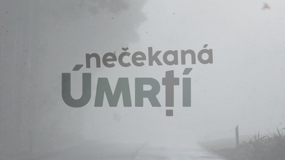 Dokument Nečekaná úmrtí - Petr Lébl