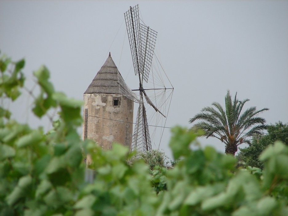 Documentary Baleáry, ostrovy prodchnuté tradicemi