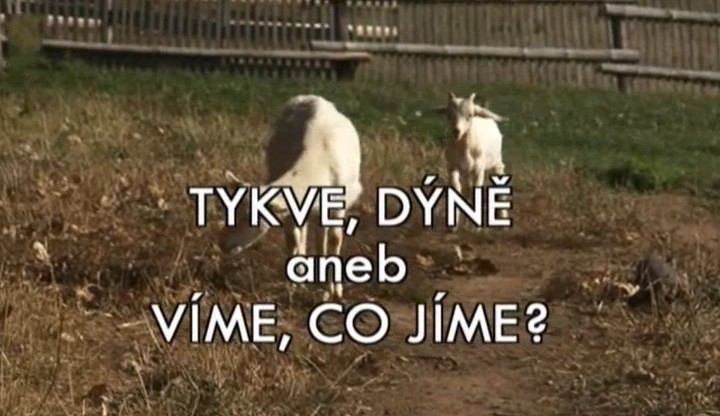 Dokument Tykve, dýně aneb Víme, co jíme?