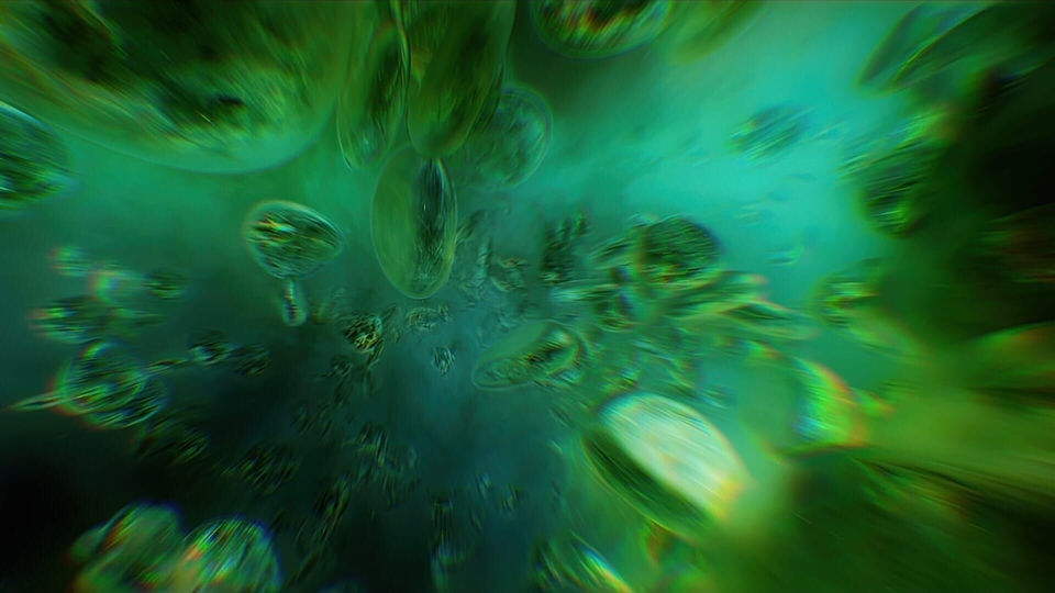 Dokument Les 5 vies de la Terre