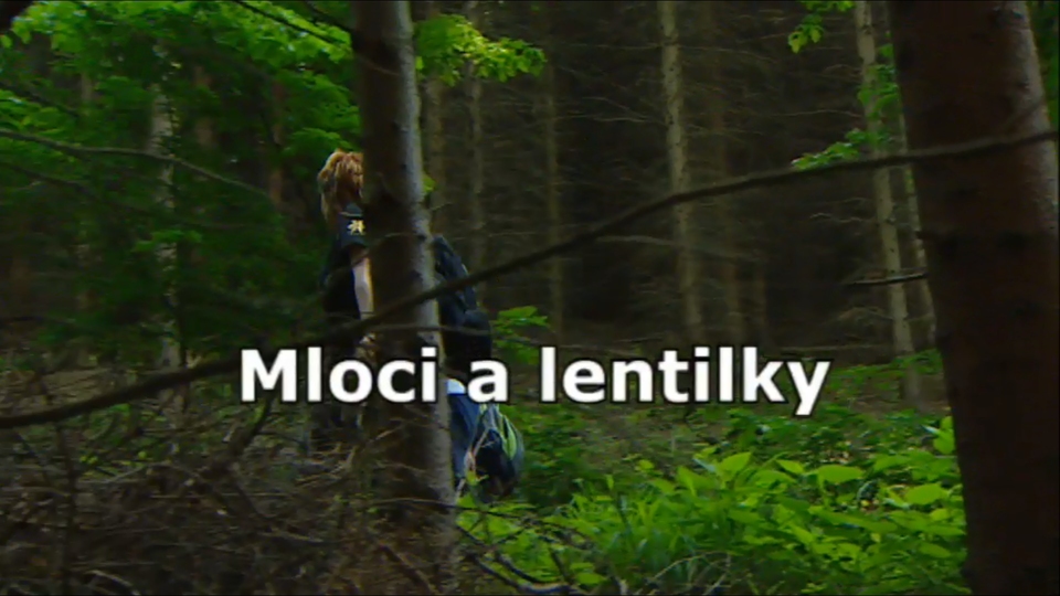 Документ Mloci a lentilky