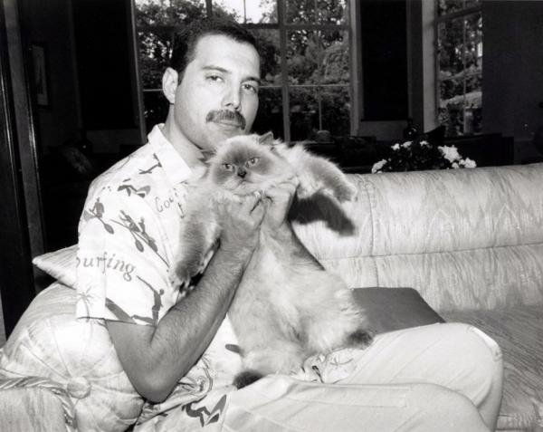 Hudobný dokument - Fredie Mercury
