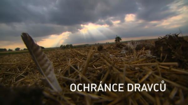Ochránce dravců