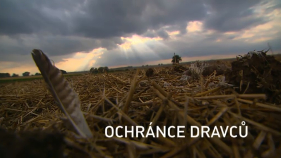 Документ Ochránce dravců