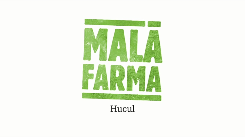 Hucul