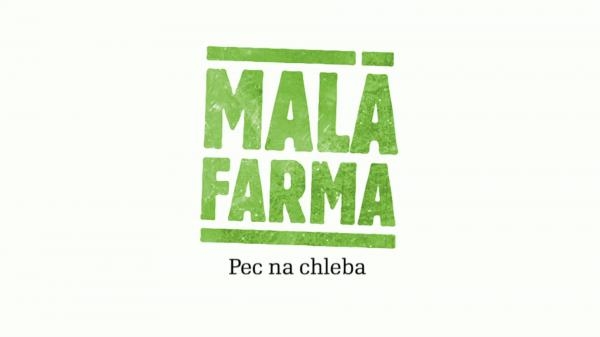 Pec na chleba
