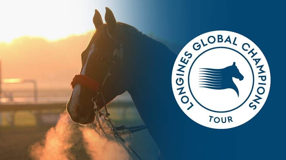 The best equestrianism online