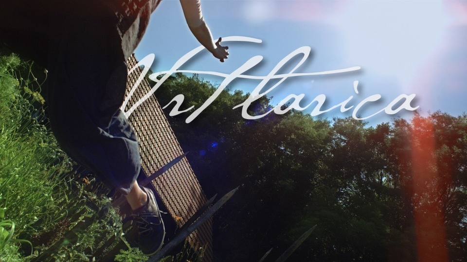 Vrtlarica: Ljepota vrtlarstva