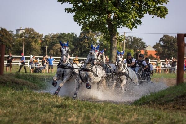 Jezdectví: M ČR spřežení Humpolec