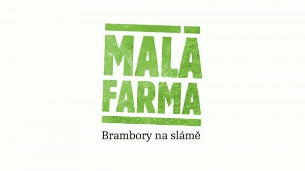 Brambory na slámě