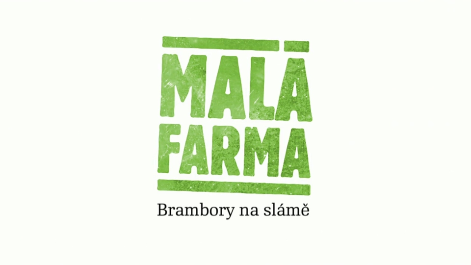Brambory na slámě