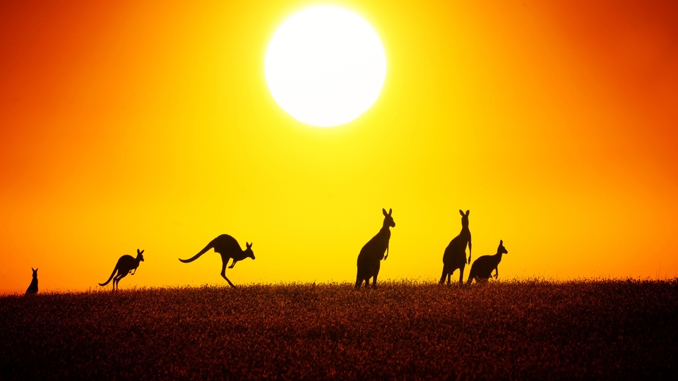 Dokument Divoká Austrálie