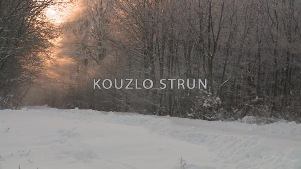 Kouzlo strun