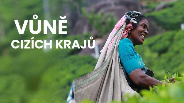 Kréta, kolébka Středomoří