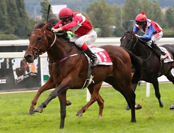 Dostihy: St. Leger