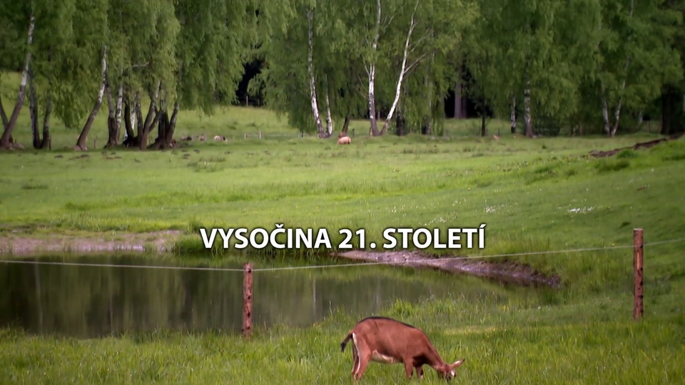 Documentary Vysočina 21. století