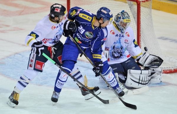 Hokej: Bílí Tygři Liberec - HC Kometa Brno