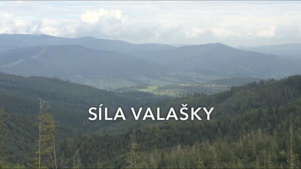 Síla valašky