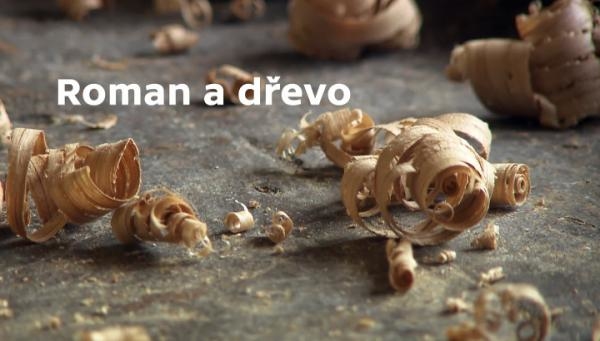 Roman a dřevo