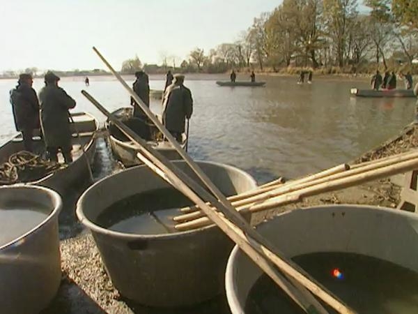 Jak se žije s českou rybou podle Jána Piroha