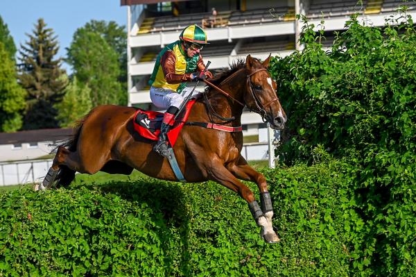 Dostihy: II. kvalifikace na 133. Velkou pardubickou se Slavia pojišťovnou
