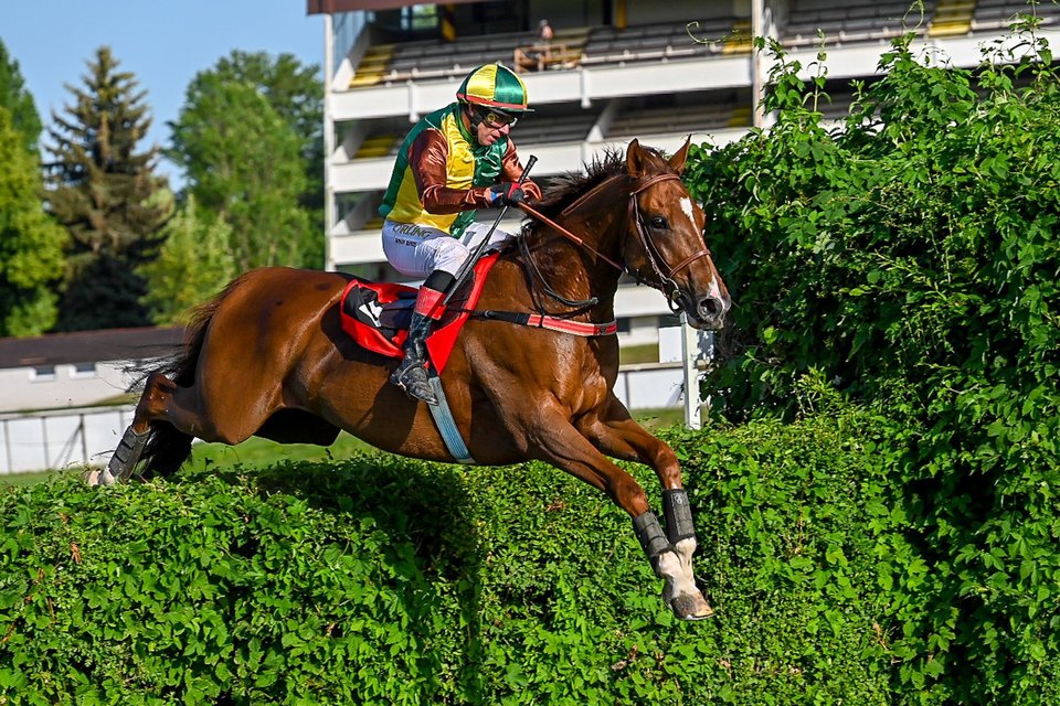 Dostihy: II. kvalifikace na 133. Velkou pardubickou se Slavia pojišťovnou