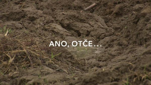 Ano, Otče!