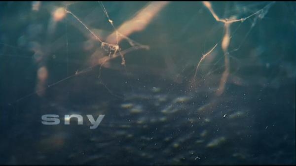 Sny