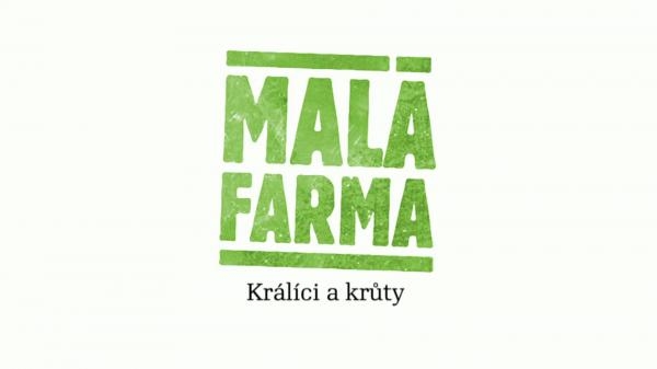 Králíci a krůty