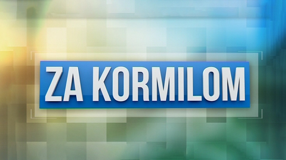 Za kormilom